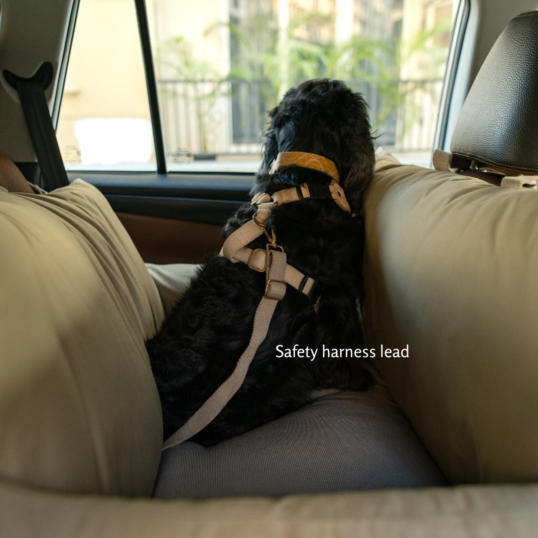 Dog Travel Beds | Dog Safety Belts for Car Rides 