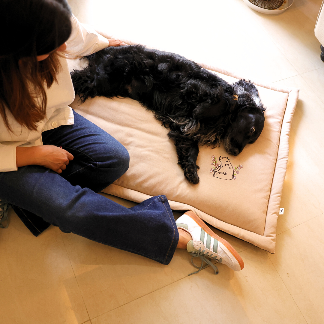 Travel Dog Mats | Washable Pet Mats | Online Pet Store Dubai