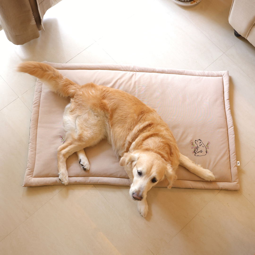 PoochMate Beige Oxford Cotton Bear Dog Mat