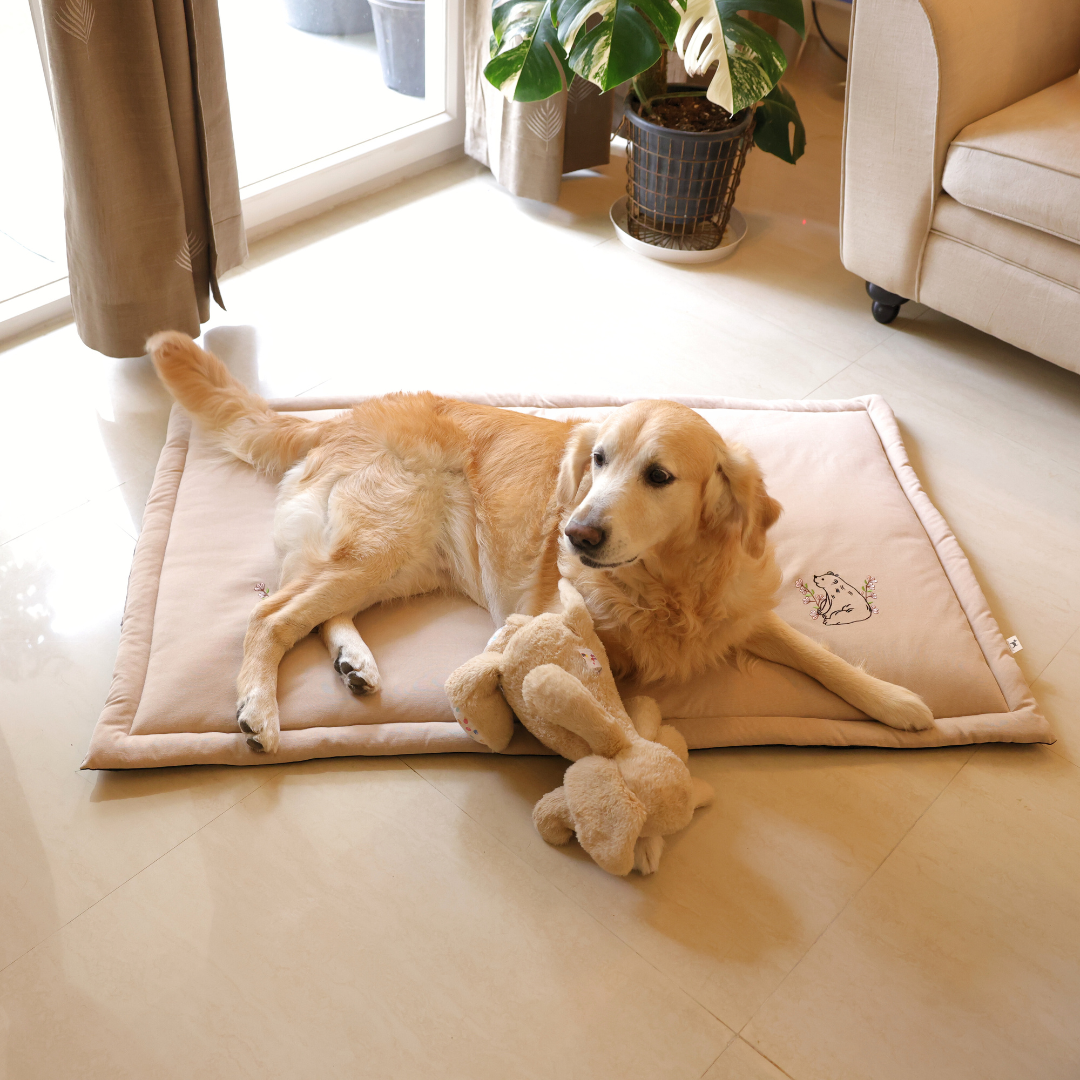 Pet Mats Dubai | Washable Dog Mats Dubai