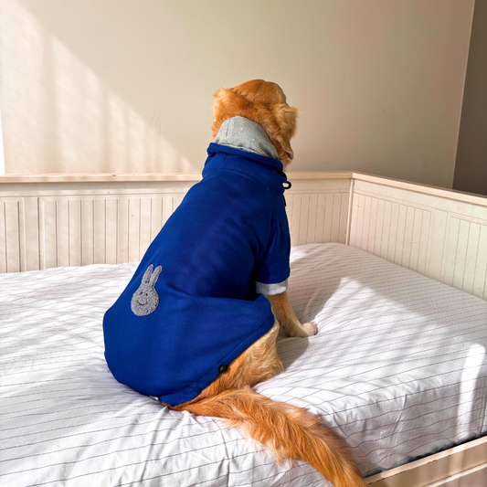 Dog Sweatshirts | Winter dog clothes UAE