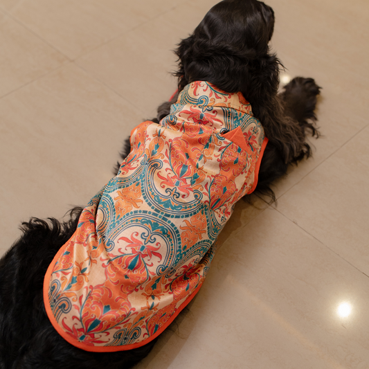 Dog Sherwani | Diwali Dog Clothes UAE