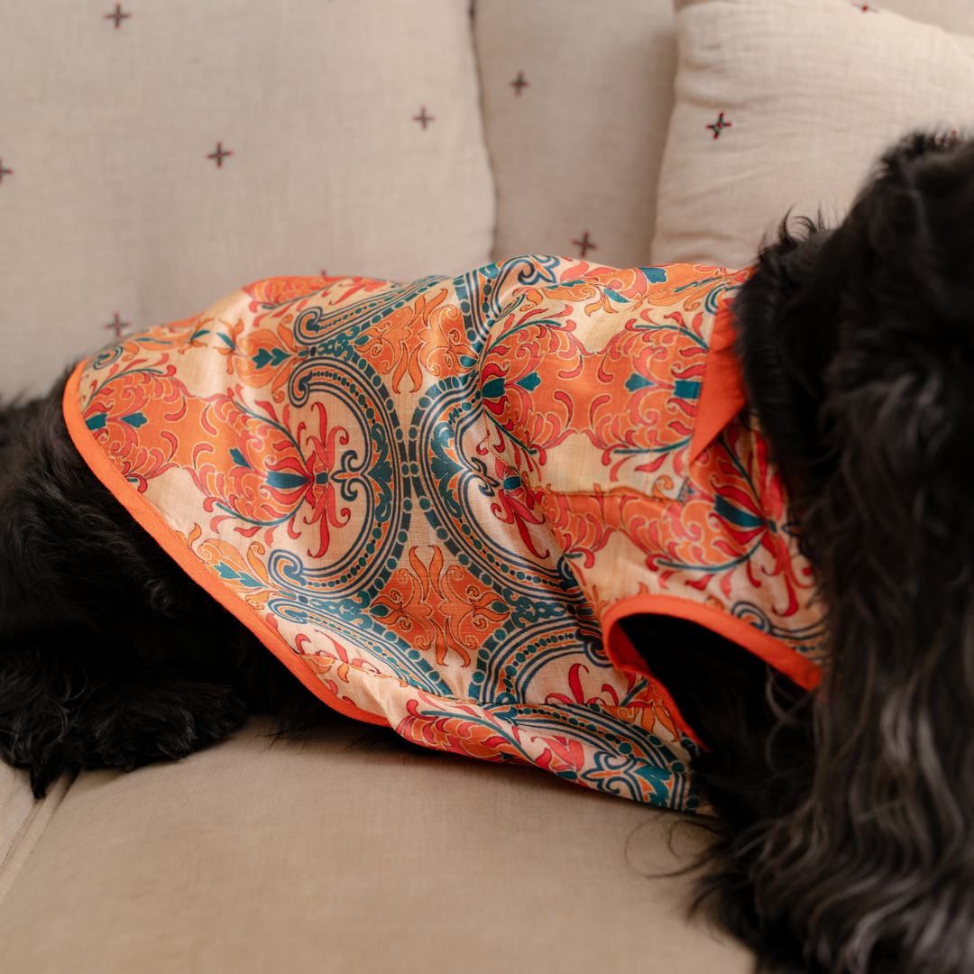 Diwali Sherwani for dogs | Pet festive wear Dubai