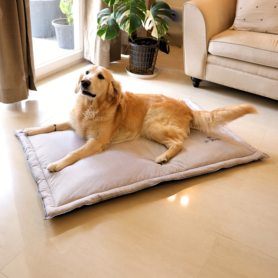 Blue Dog Cotton mat | Pet Mats Dubai