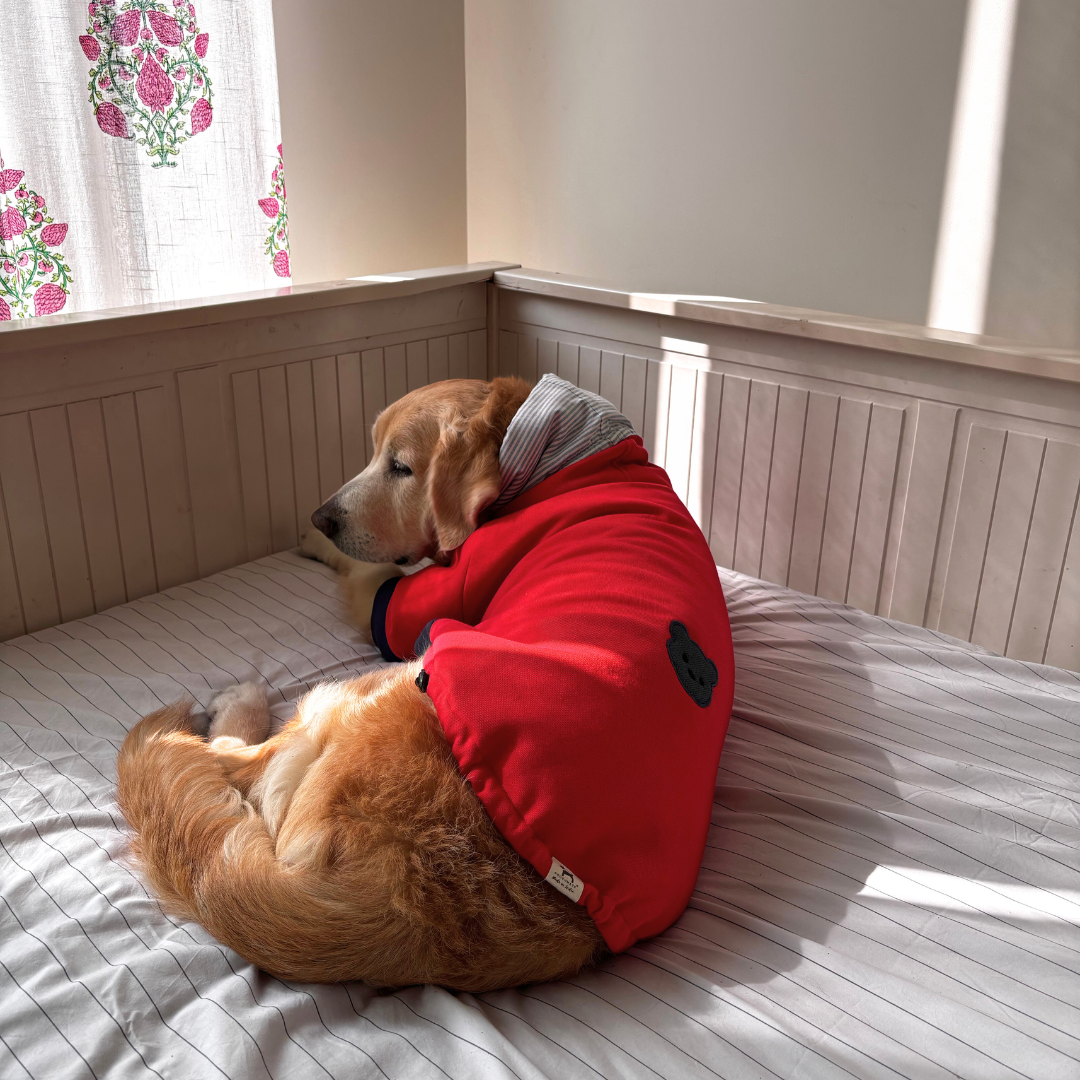 Dog Sweatshirts | Dog Hoodies | Dubai pet Stores