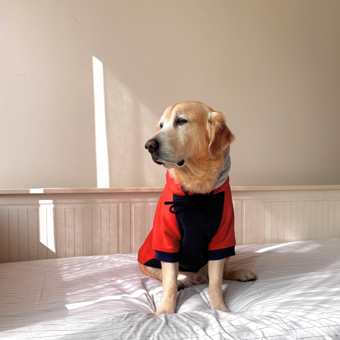 Dog Sweatshirts | Dog Hoodies | Dubai pet Stores