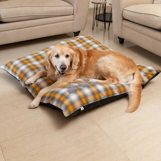 Flat Dog Beds online Dubai | Pillow Beds for dogs