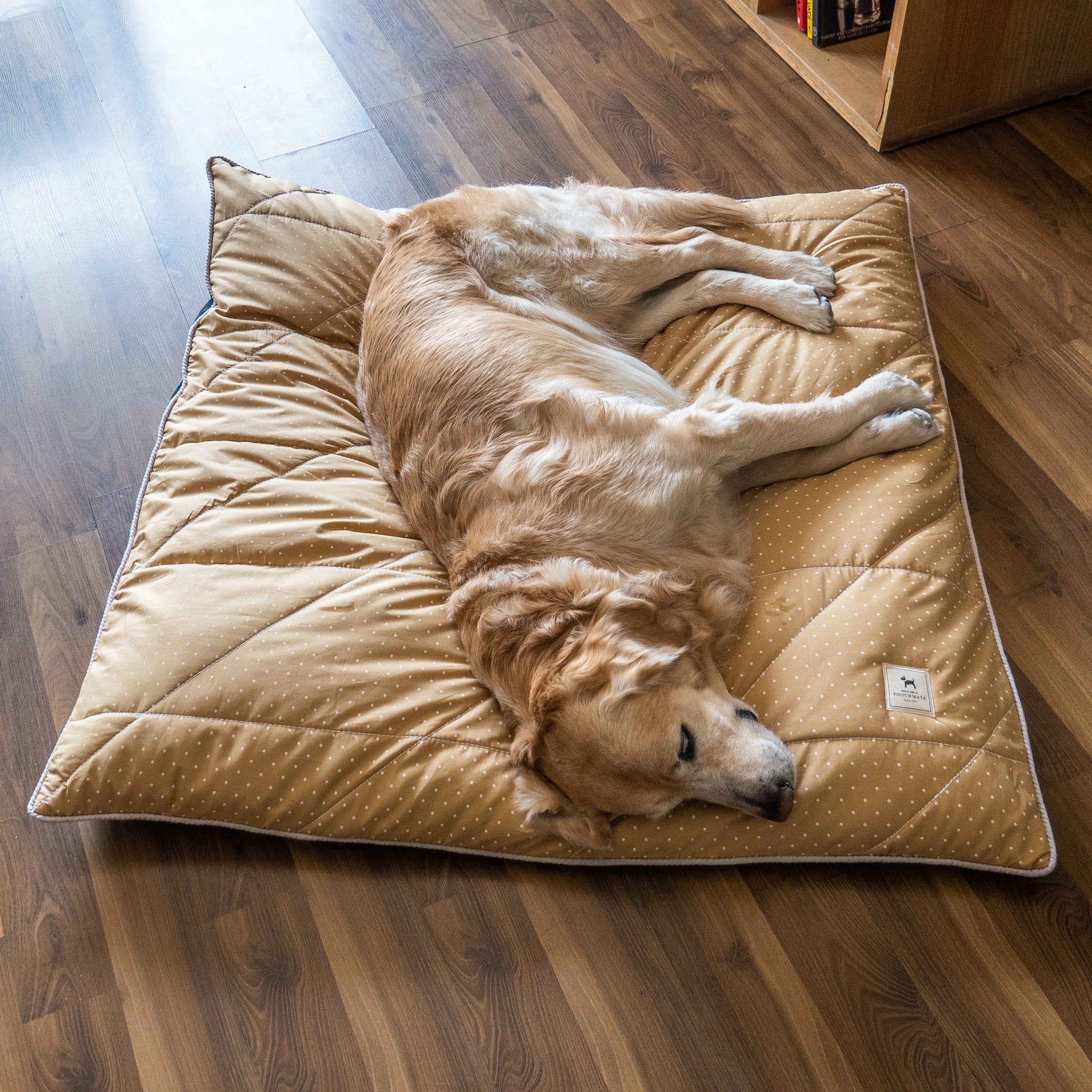 Luxury dog 2024 beds cheap