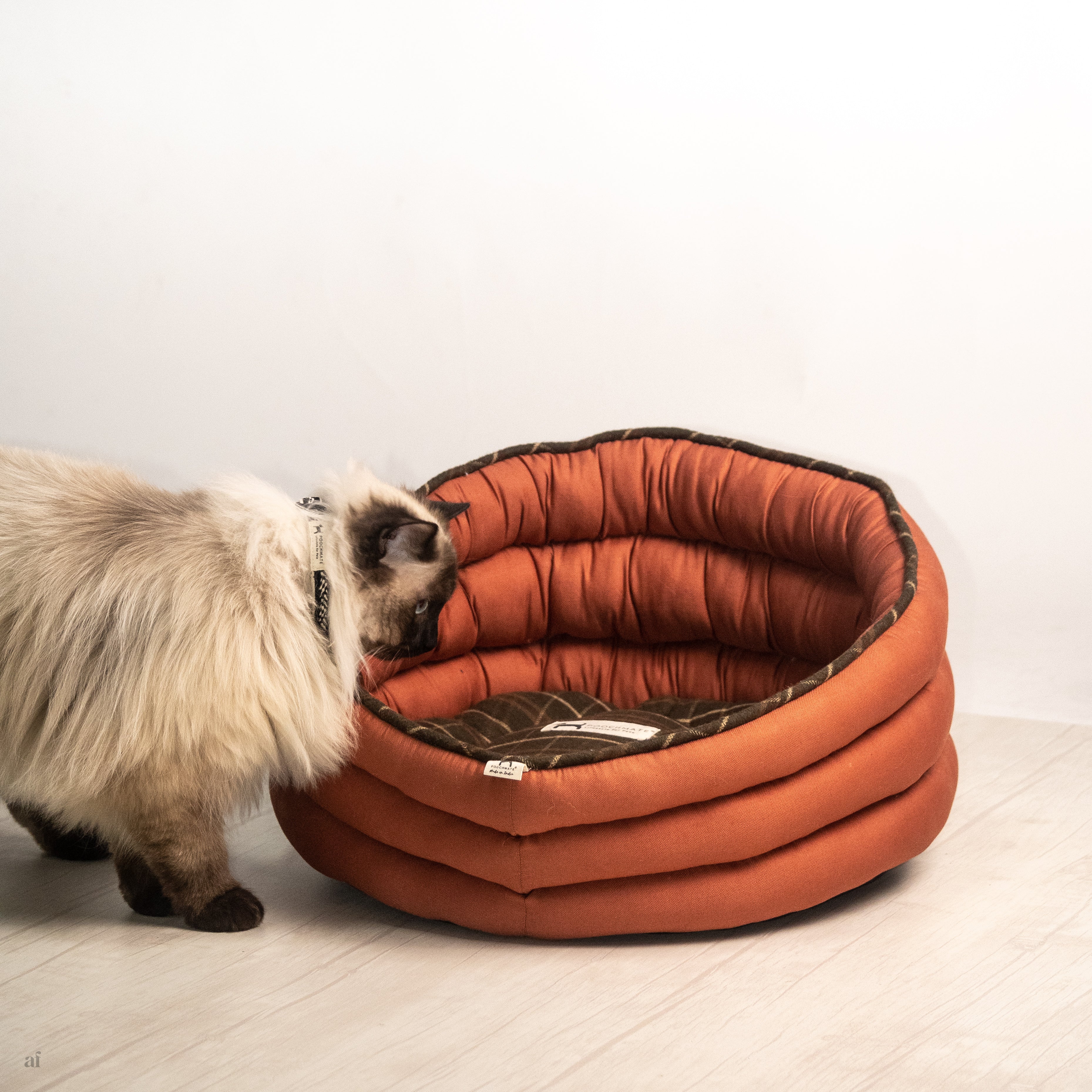 Buy cat bed online best sale