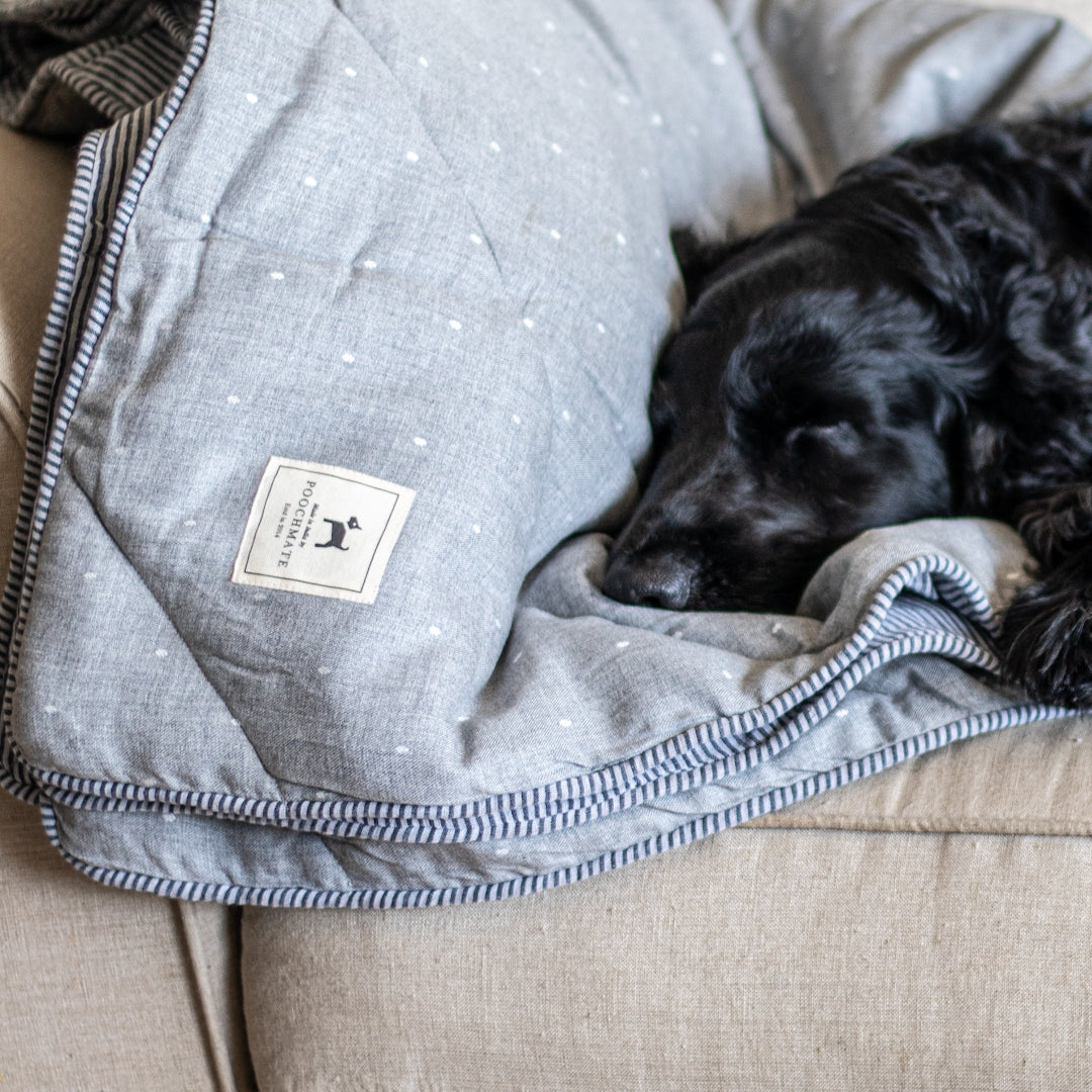 Cotton shop dog blankets