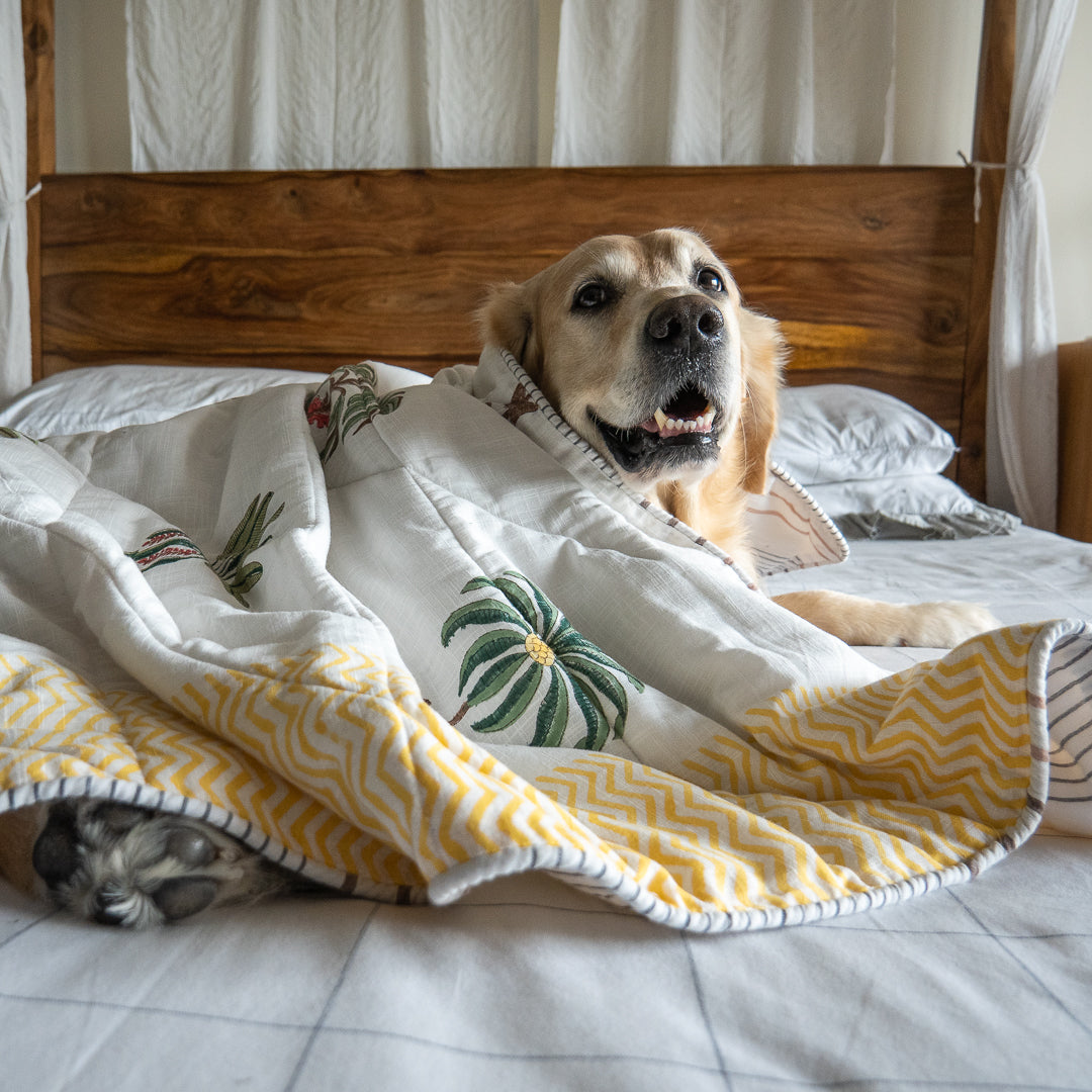 Dog blankets cheap for sale