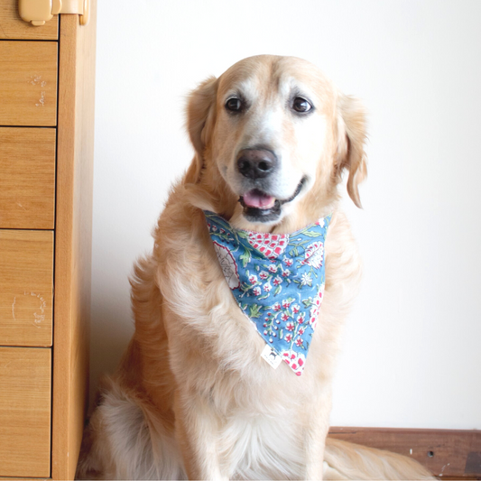 PoochMate Pomegranate Print Bandana