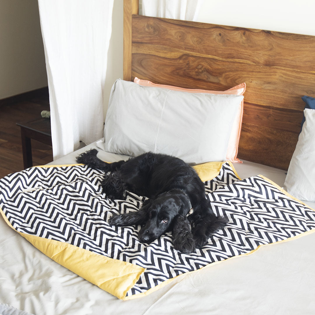 Diy dog bed with hot sale blanket