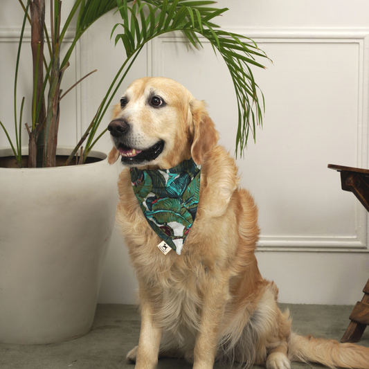 PoochMate Palm Print Bandana